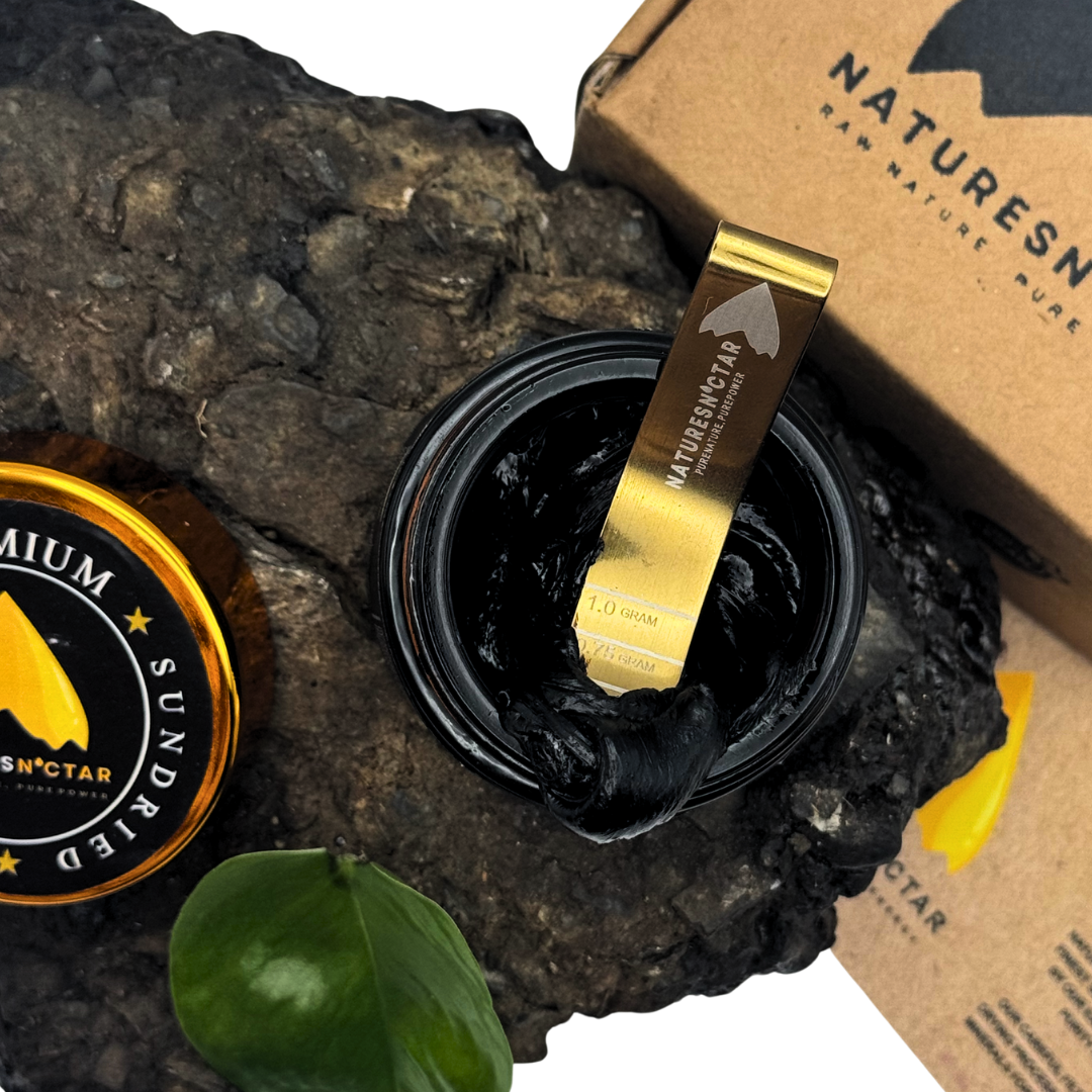 Natures N'ctar Shilajit 30g